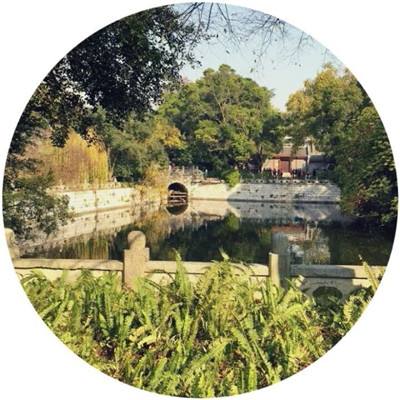 地鼠传奇最新版下载
